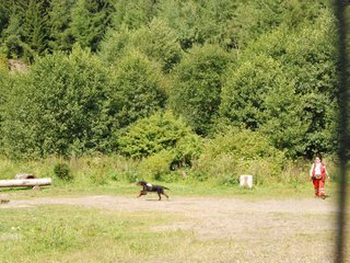 2009-08-23_ntb_6798