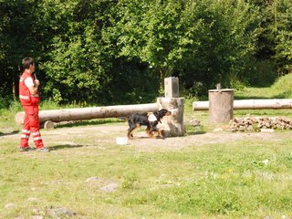 2009-08-23_ntb_6805