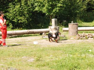 2009-08-23_ntb_6806