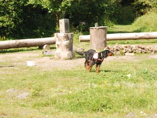 2009-08-23_ntb_6809