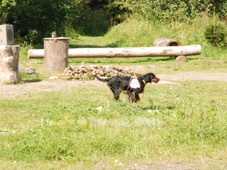 2009-08-23_ntb_6810