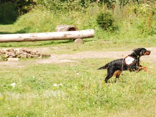 2009-08-23_ntb_6811