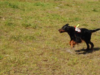 2009-08-23_ntb_6812