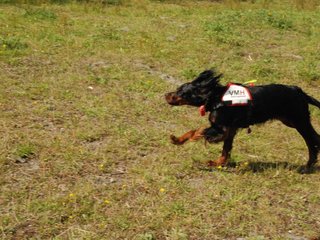 2009-08-23_ntb_6813