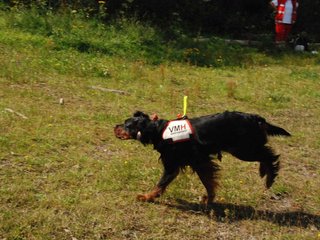 2009-08-23_ntb_6814