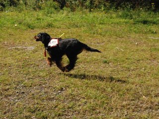 2009-08-23_ntb_6815