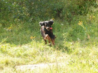 2009-08-23_ntb_6816