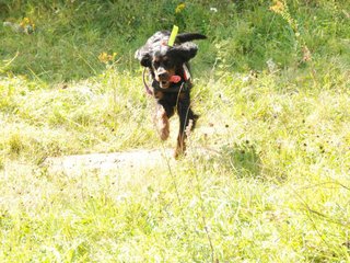 2009-08-23_ntb_6817