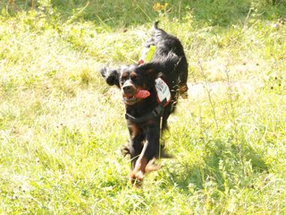 2009-08-23_ntb_6818