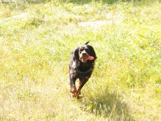 2009-08-23_ntb_6819