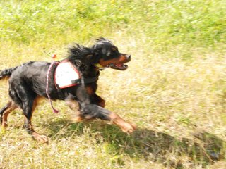 2009-08-23_ntb_6820