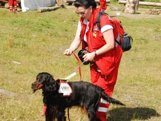 2009-08-23_ntb_6821
