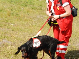 2009-08-23_ntb_6822