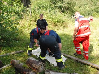 2009-08-23_ntb_6863