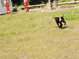 2009-08-23_ntb_6894