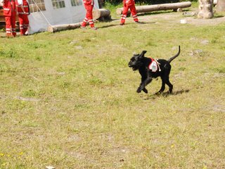 2009-08-23_ntb_6895