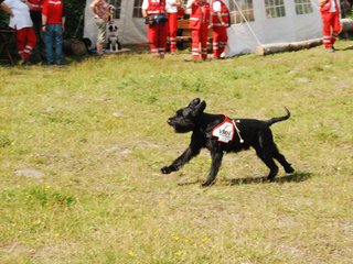 2009-08-23_ntb_6896
