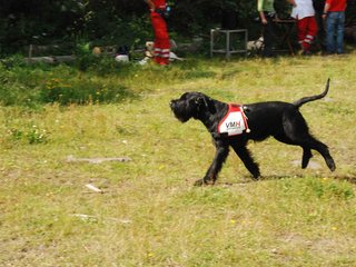 2009-08-23_ntb_6897