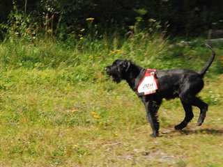 2009-08-23_ntb_6898