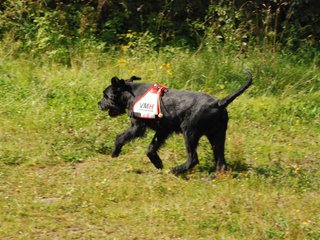 2009-08-23_ntb_6899