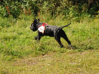 2009-08-23_ntb_6900