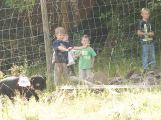 2009-08-23_ntb_6901