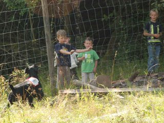 2009-08-23_ntb_6902