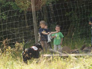 2009-08-23_ntb_6903