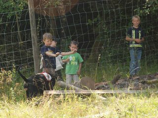 2009-08-23_ntb_6904