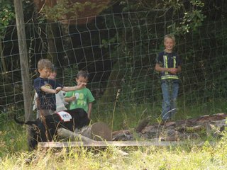 2009-08-23_ntb_6905