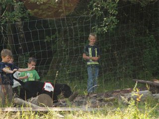 2009-08-23_ntb_6906