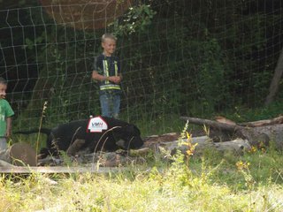 2009-08-23_ntb_6907