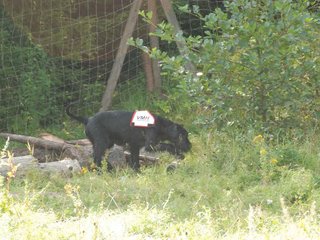 2009-08-23_ntb_6908