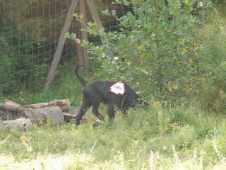 2009-08-23_ntb_6909