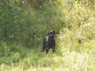 2009-08-23_ntb_6910