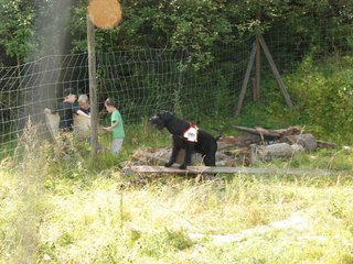 2009-08-23_ntb_6911