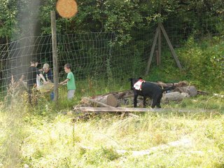2009-08-23_ntb_6912