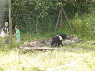 2009-08-23_ntb_6913