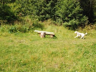 2009-08-23_ntb_6930