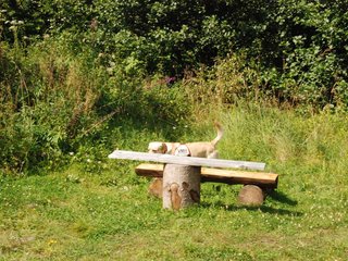 2009-08-23_ntb_6931