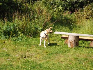 2009-08-23_ntb_6933