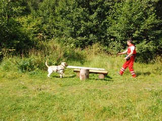 2009-08-23_ntb_6934