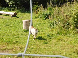2009-08-23_ntb_6938