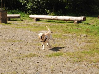 2009-08-23_ntb_6939