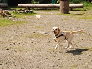 2009-08-23_ntb_6940