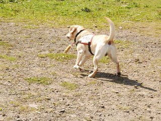 2009-08-23_ntb_6943