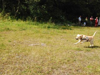 2009-08-23_ntb_6944