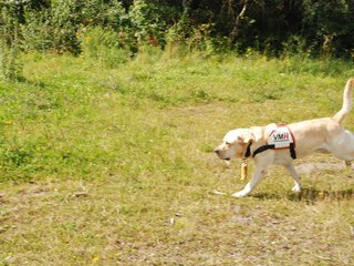 2009-08-23_ntb_6945