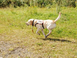 2009-08-23_ntb_6946