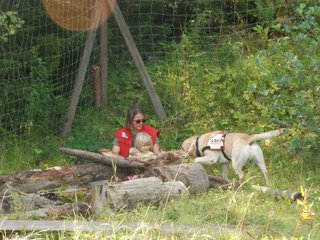 2009-08-23_ntb_6948